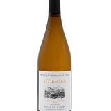 Bodega Hermanos Mesa, Locartas Blanco, Canary Islands, Spain 2023