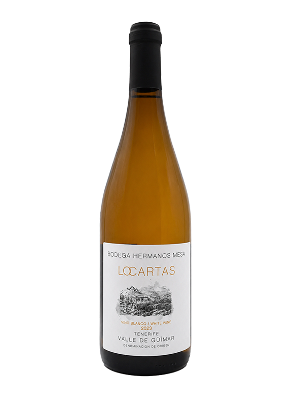 Bodega Hermanos Mesa, Locartas Blanco, Canary Islands, Spain 2023
