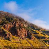 Weingut Moselschild Erdener Prälat Riesling Auslese 1982