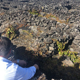 Herdade do Rocim, “Oceânico”, Arinto dos Açores, Portugal 2022