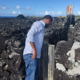 Herdade do Rocim, “Oceânico”, Arinto dos Açores, Portugal 2022