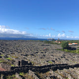 Herdade do Rocim, “Oceânico”, Arinto dos Açores, Portugal 2022