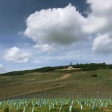 Dr. Nägler, Riesling, Rüdesheimer Bischofsberg, Kabinett Feinherb, Rheingau, Germany 2019