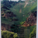 Weingut Moselschild Erdener Prälat Riesling Auslese 1982