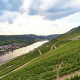 Weingut Wollshied Wehlener Sonnenuhr Riesling Auslese 1990