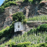 Weingut Wollshied Wehlener Sonnenuhr Riesling Auslese 1990