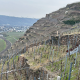 Weingut Wollshied Wehlener Sonnenuhr Riesling Auslese 1990