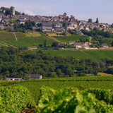 Pascal Cotat, Sancerre, 'Les Mont Damnés', Loire Valley, France 2024