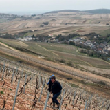 Pascal Cotat, Sancerre, 'Les Mont Damnés', Loire Valley, France 2024