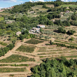 Pietroso Brunello di Montalcino 2020