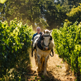 Evesham Wood Willamette Valley Pinot Noir 2023