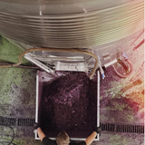 Señorio de Pecina Rioja Gran Reserva 2016