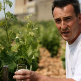 Domaine Bois de Boursan Chateauneuf Du Pape 2022