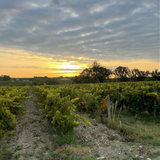 Domaine Bois de Boursan Chateauneuf Du Pape 2022