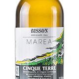 Bisson, Cinque Terre, "Marea," Liguria, Italy, 2025