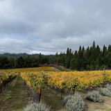 Ghostnote Super Santa Cruz Ascona Vineyard Cabernet 2022